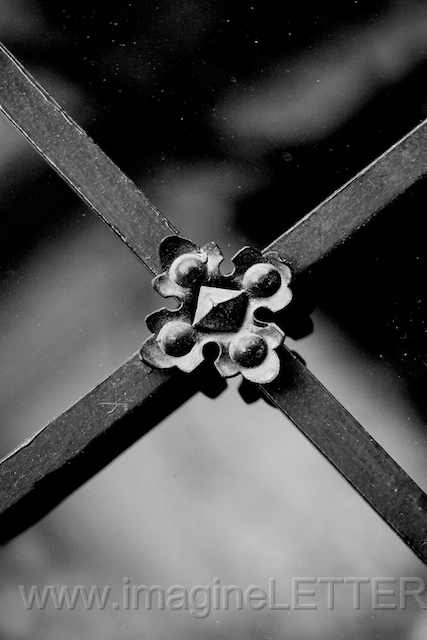 Wall_Art_Alphabet_Photography_Art_ 2495.jpg